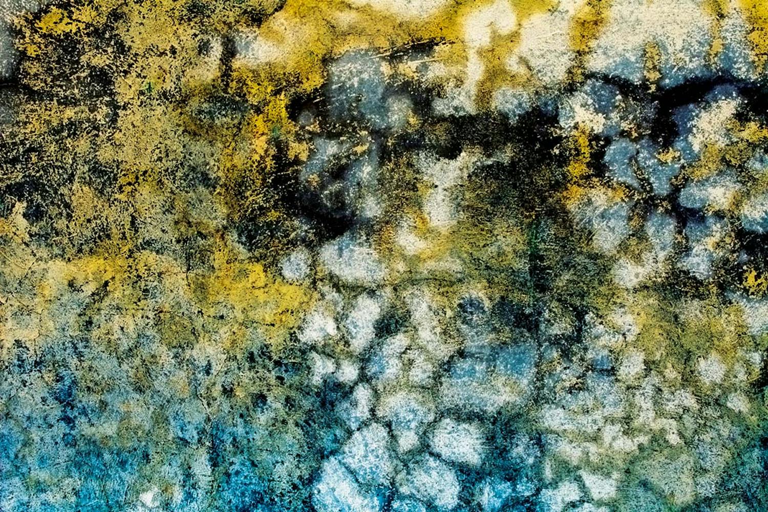 Musta home 15 homemyyttiä